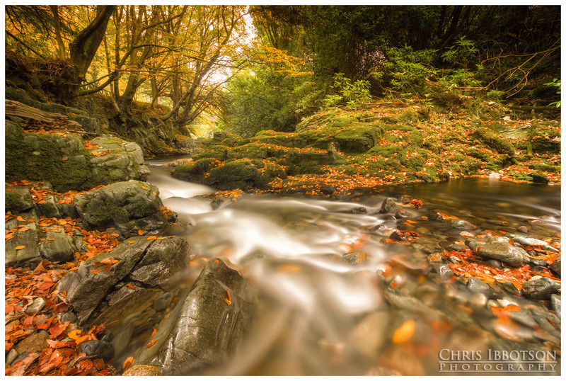 Shimna River, Tollymore