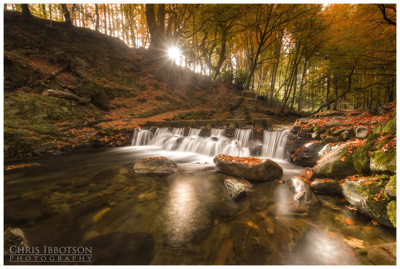 The Stepping Stones, Tollymore