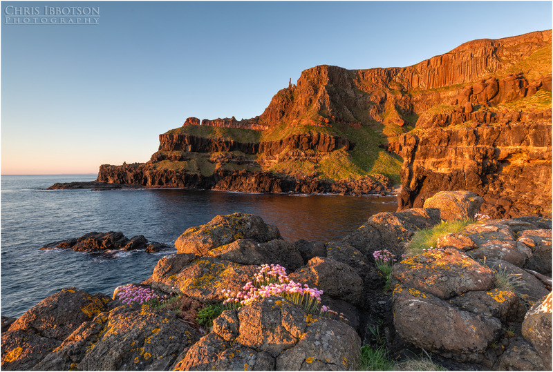 Sea Pinks at the Amphitheatre