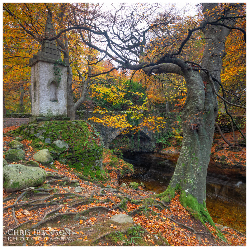 The Tower, Ivy Bridge, Tollymore Forest