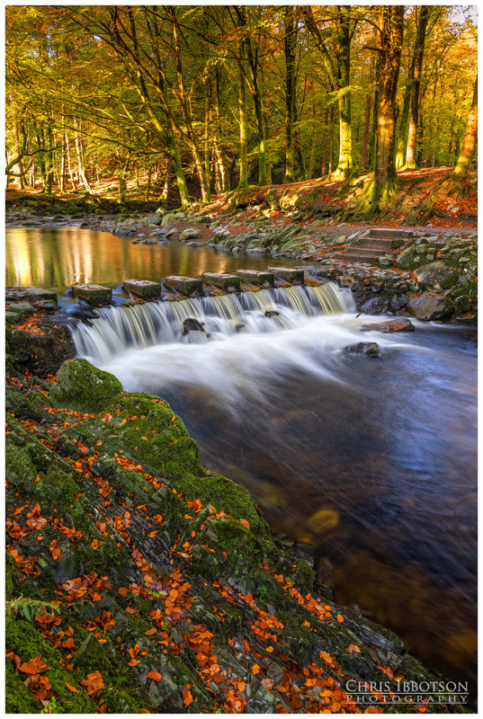 The Stepping Stones, Tollymore Forest