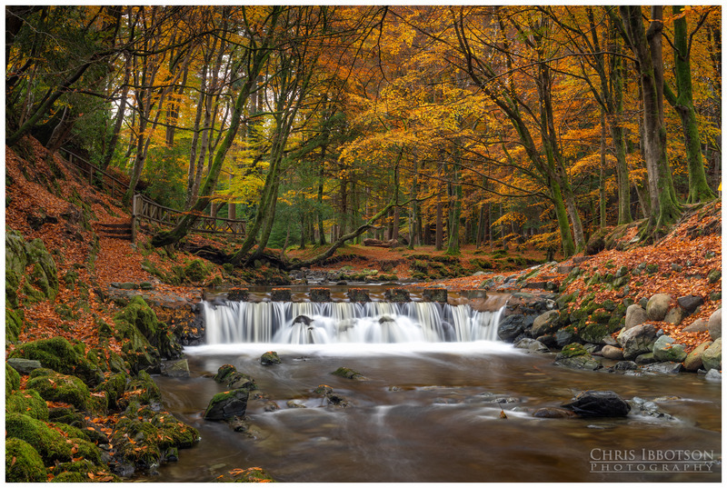 The Crossing, Tollymore