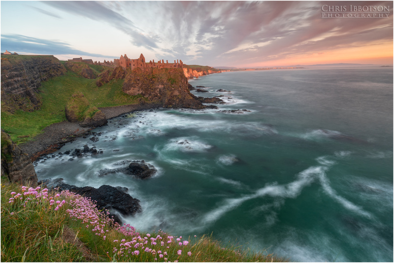 Sea Pinks at Dunluce Castle