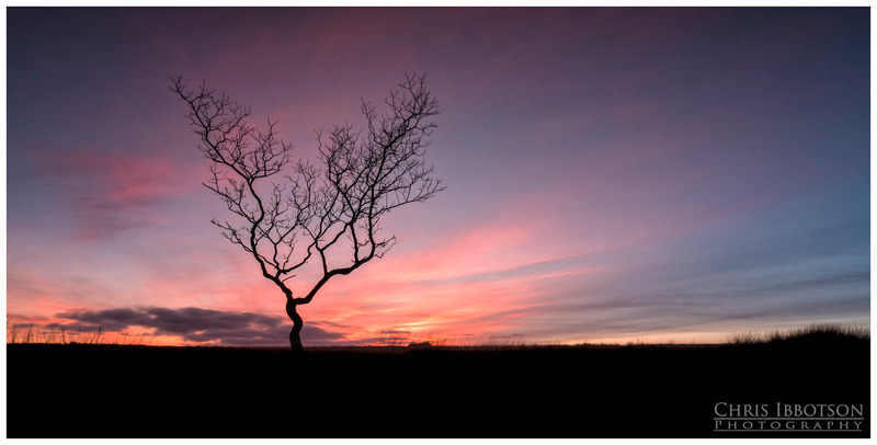 The Tree, Slemish
