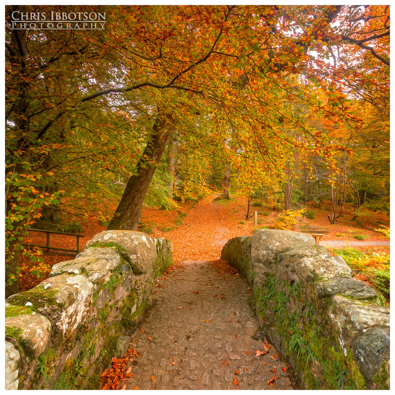 Crossing the Bridge, Tollymore
