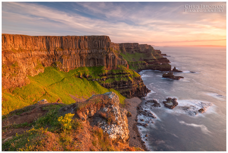 Causeway Flowers, Giants Causeway