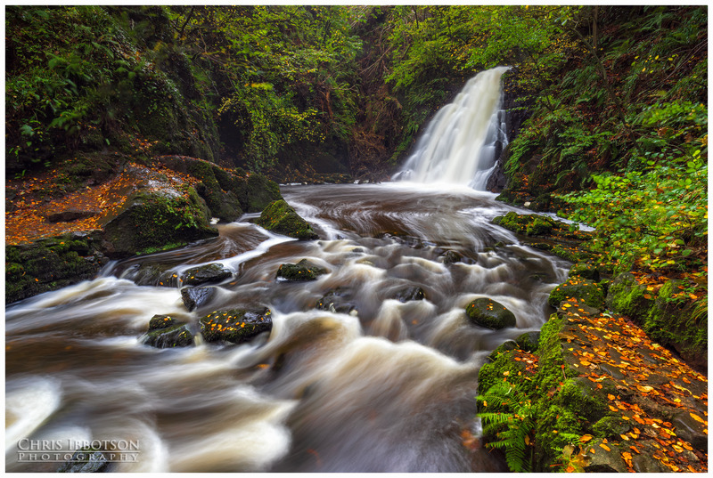Autumn at the glen, Gleno