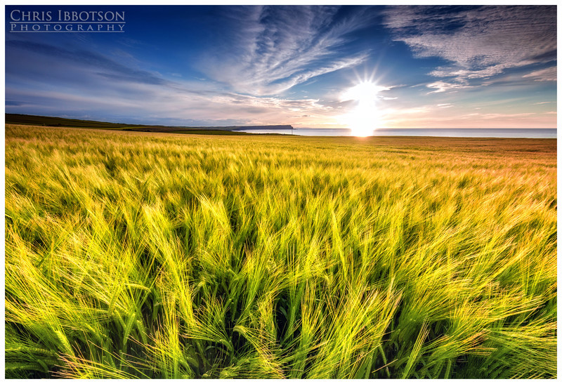 Fields of Gold, Ballintoy