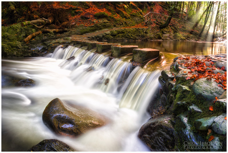 Tollymore Forest Park