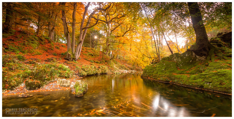 The Shimna River, Tollymore