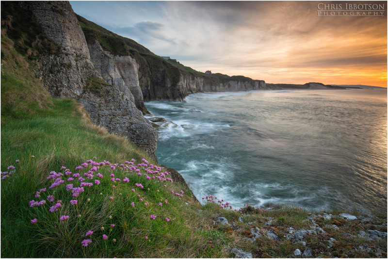 Whiterocks Sea Pinks