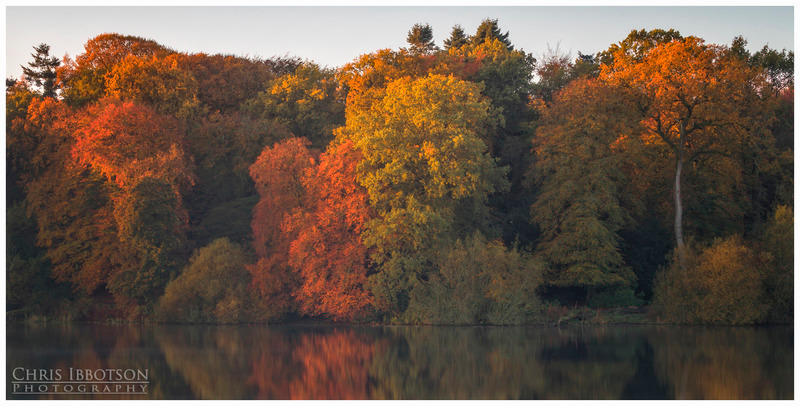 Autumn Colour, Hillsborough Lake
