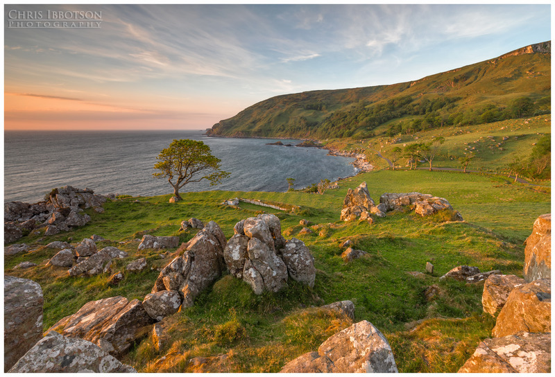 The Tree in the Bay, Murlough