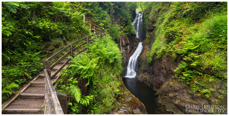 The Path Through the Forest, Glenariff
