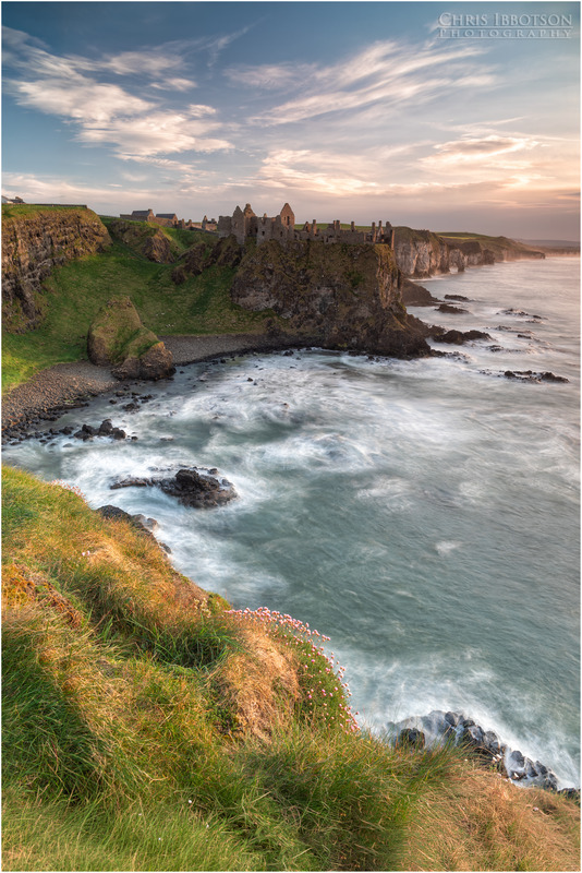 Sea Pinks at Dunluce Castle