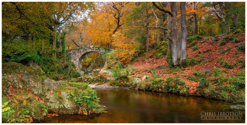 The Arched Bridge, Tollymore Forest