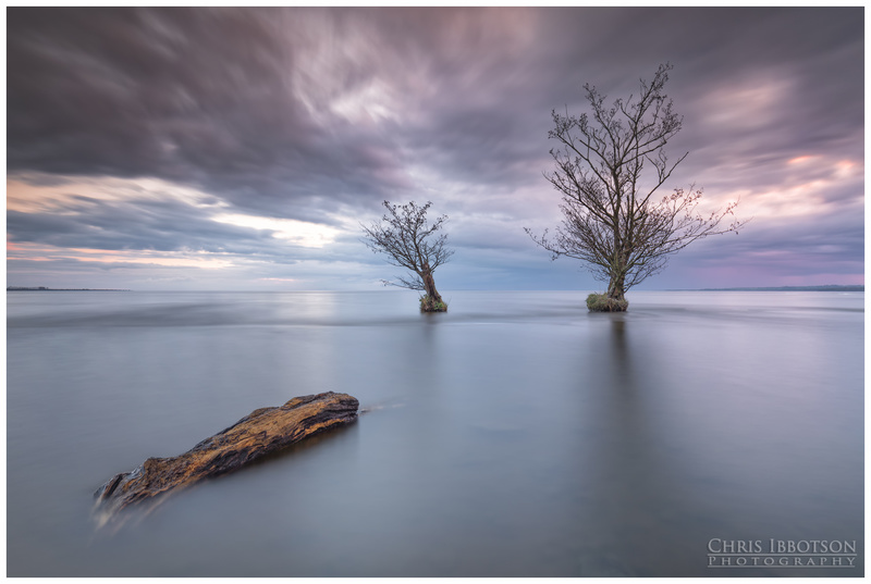 The Trees, Lough Neagh