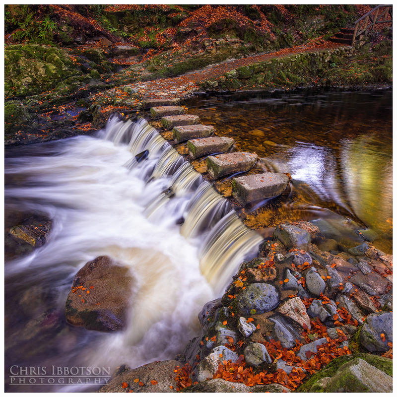 Tollymore Stepping Stones