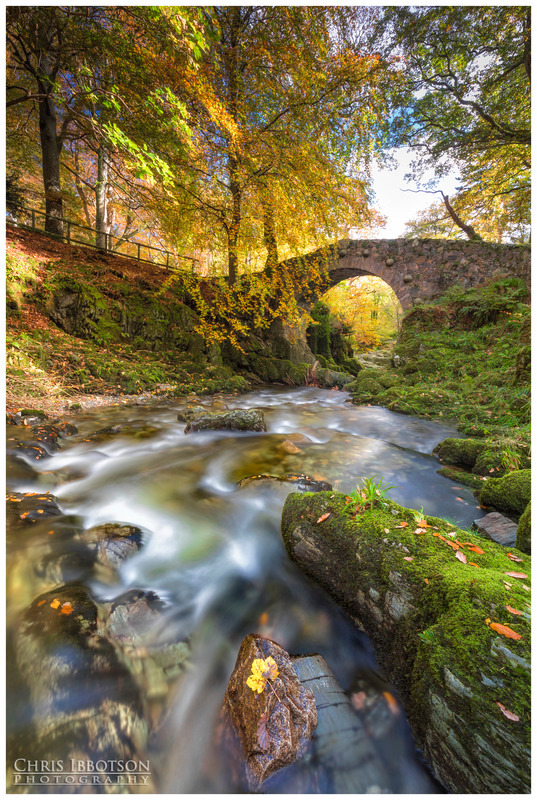 The Shimna River, Tollymore Forest
