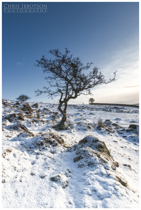 Cold and Lonely, Slemish