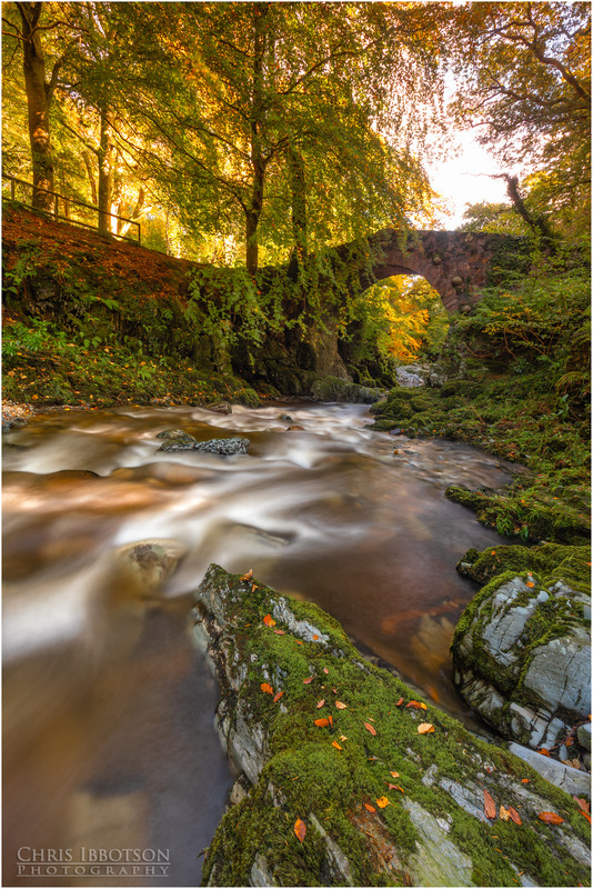 Autumnal Flow, Tollymore Forest