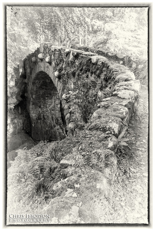 Foleys Bridge, Tollymore Forest Park