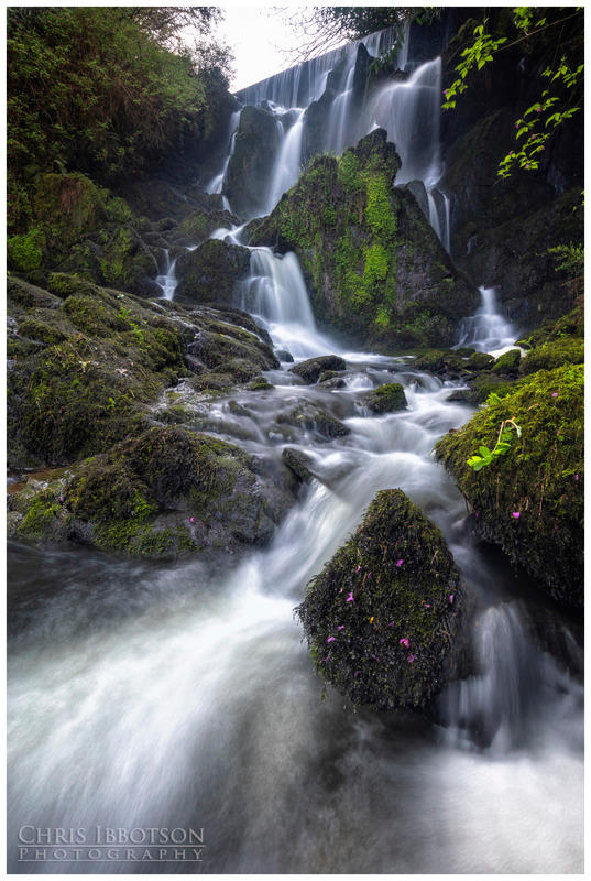 Crawfordsburn Waterfall
