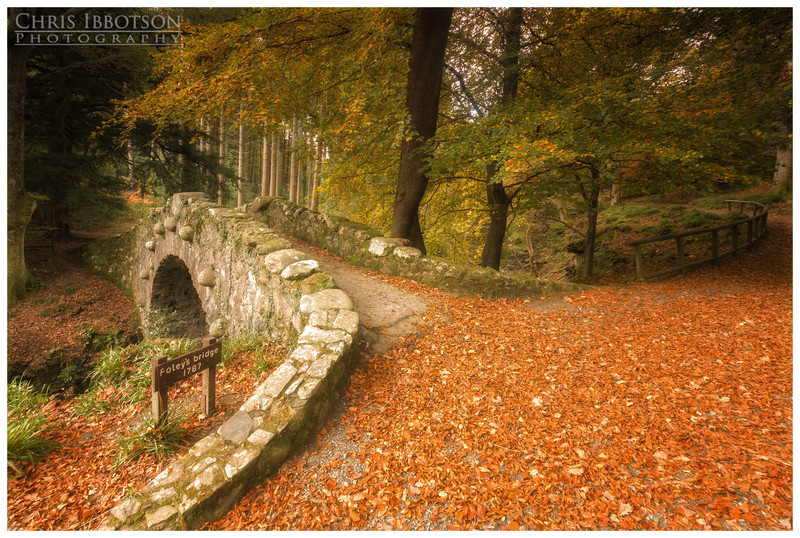 Foleys Bridge Tollymore Forest