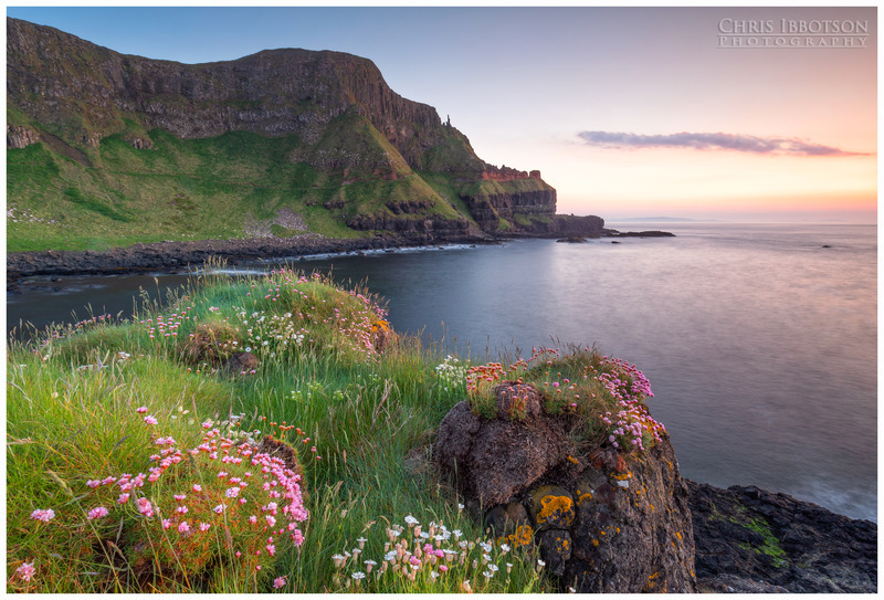 Port na Spaniagh Sea Pinks