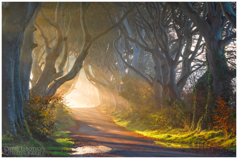 Morning Glow, The Dark Hedges
