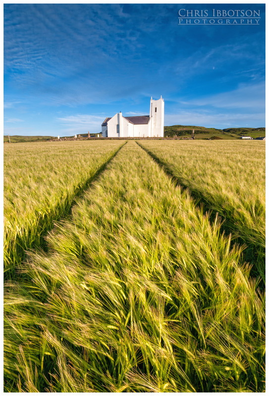The Barley Field, Ballintoy