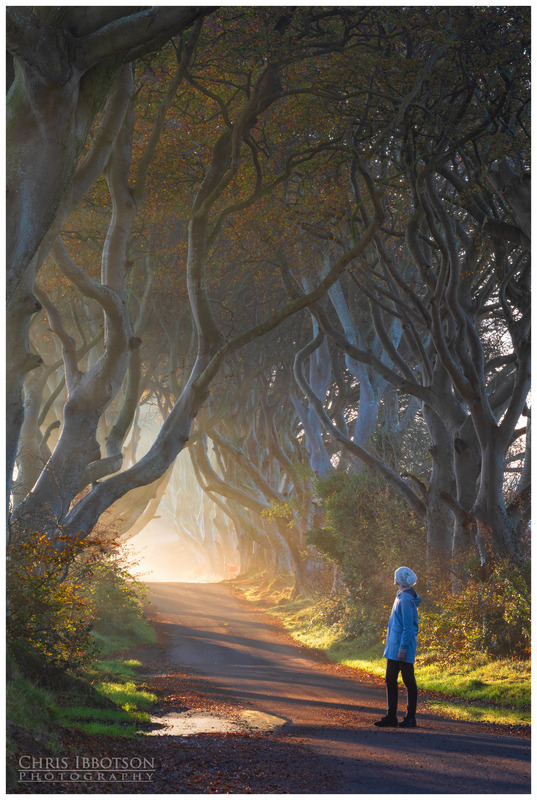 The Mysterious Tunnel, Dark Hedges