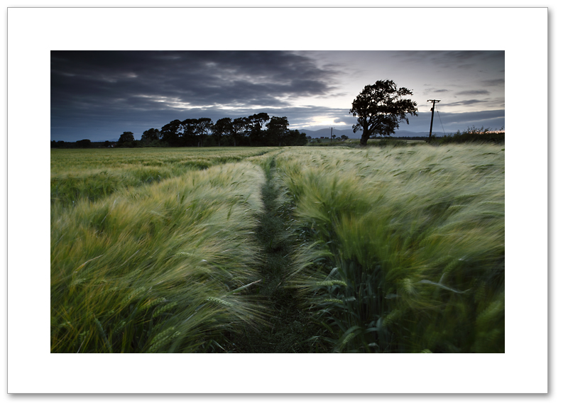 Telegraph Road, Culross, Fife