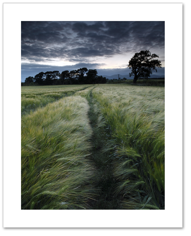 Ashes gloaming, Culross, Fife