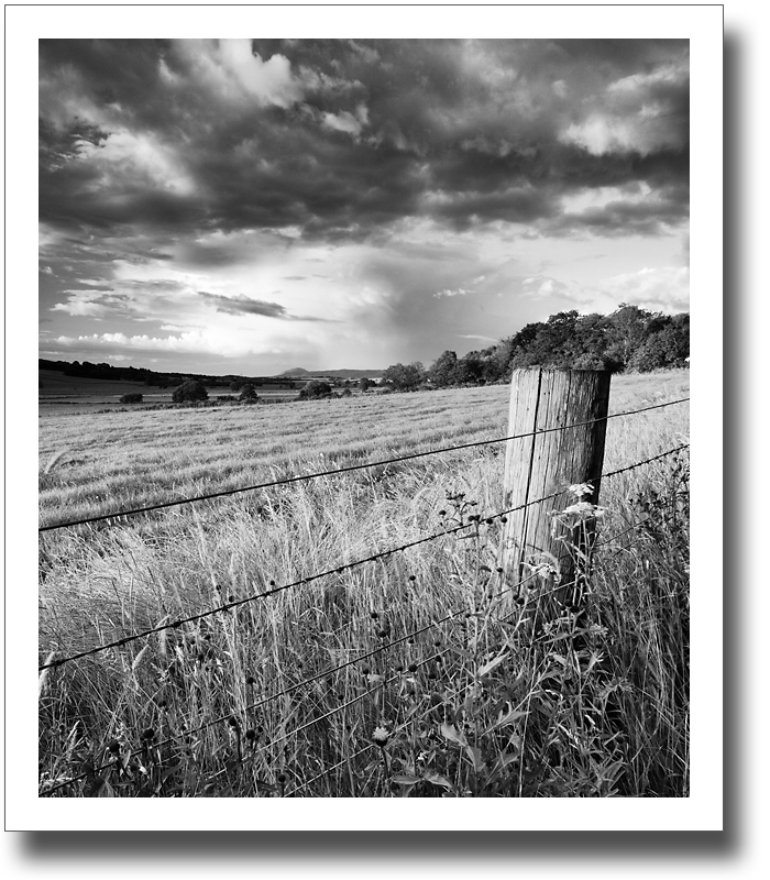 Pillar to Post ♦ CLEISH PLAIN