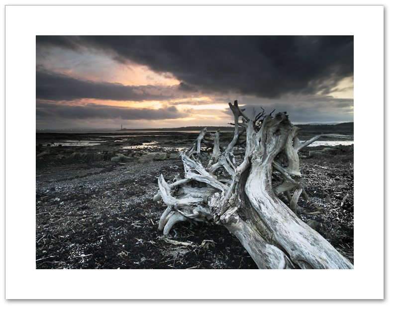 The skeleton coast, Crombie Point, Fife