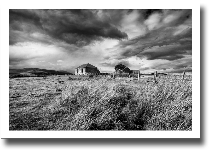 Approaching Reaveleyhill ♦ BREAMISH VALLEY