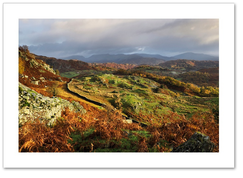 Wall to Wall ♦ HIGH TILBERTHWAITE
