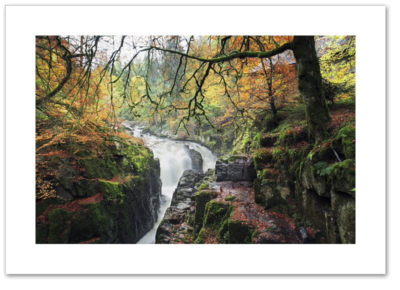Greenfingers, The Hermitage, Dunkeld, Perthshire