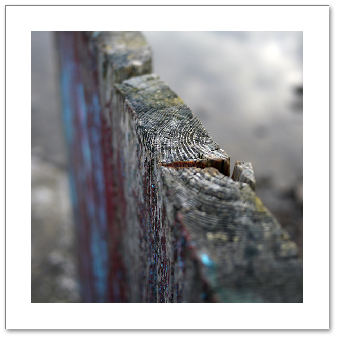 Weathered fence detail