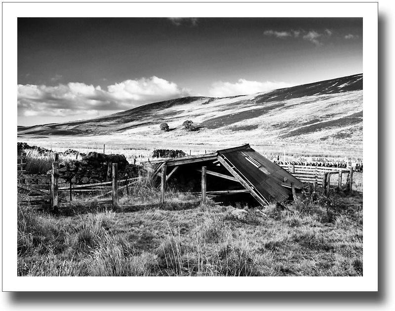 Black Hole ♦ GLEN SHEE