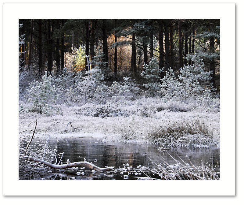 Fire & ice, Devilla Forest, Fife