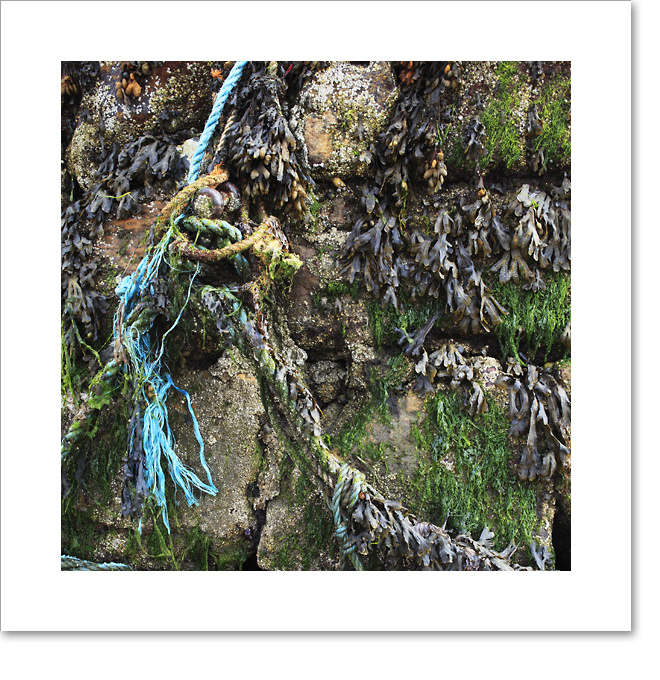 Harbour wall I