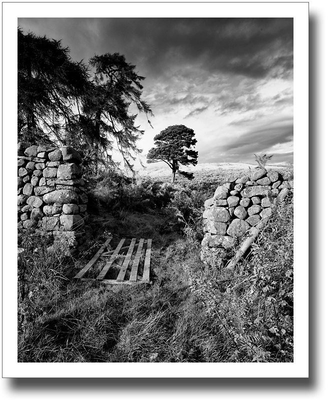 Within These Walls ♦ BREAMISH VALLEY