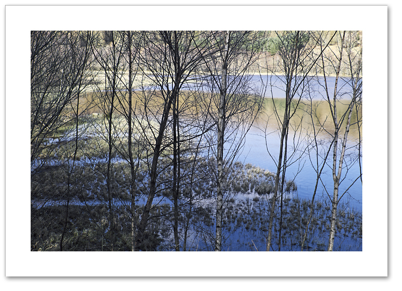 Screen, Mill Dam, Atholl Woods, Dunkeld, Perthshire