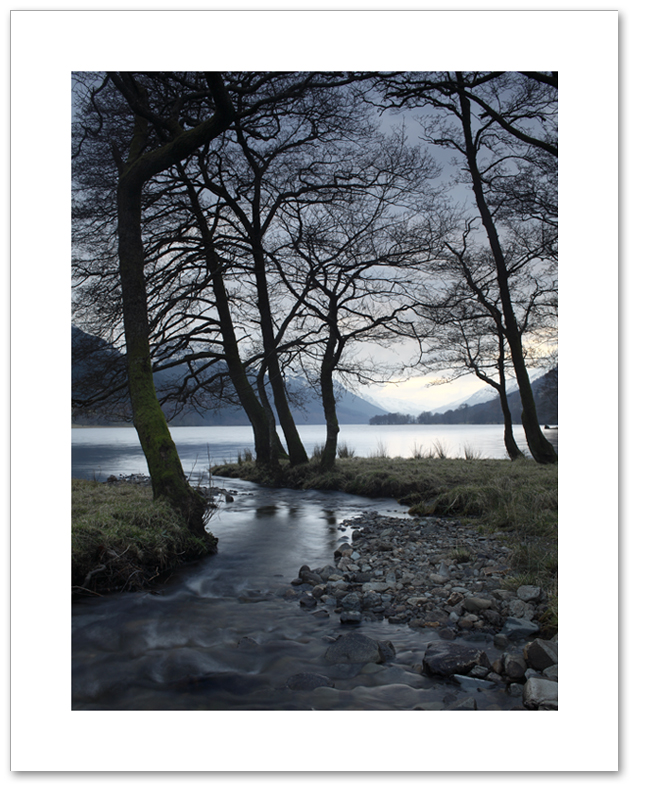 Trees of Voil, Loch Voil, Loch Lomond and the Trossachs National Park
