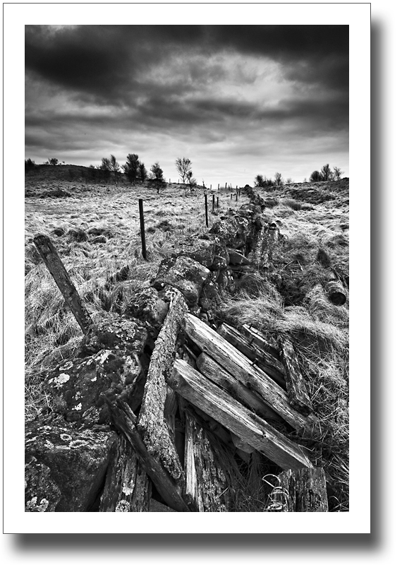 Reinforcements ♦ CRAIGLUSCAR