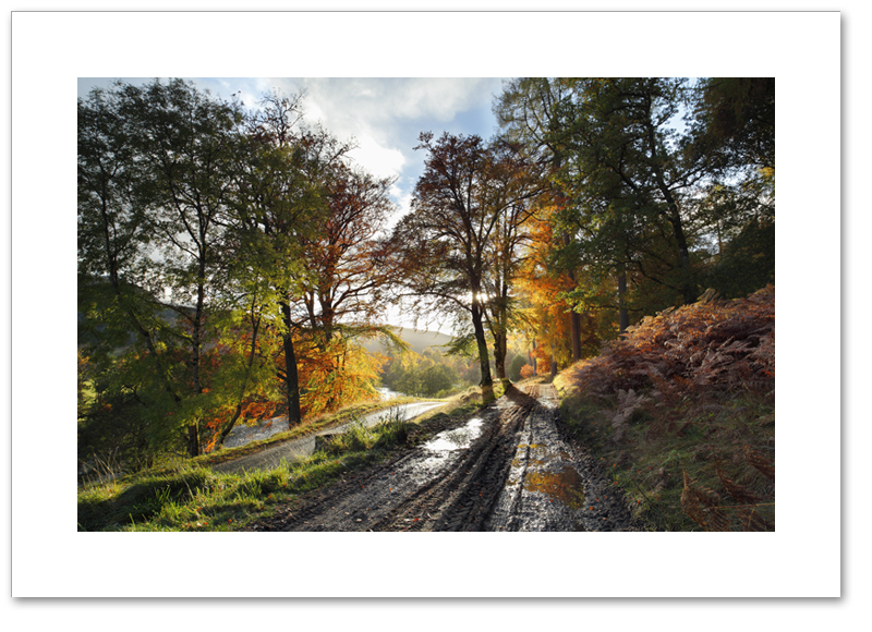 After rain, Glen Lyon, Perthshire