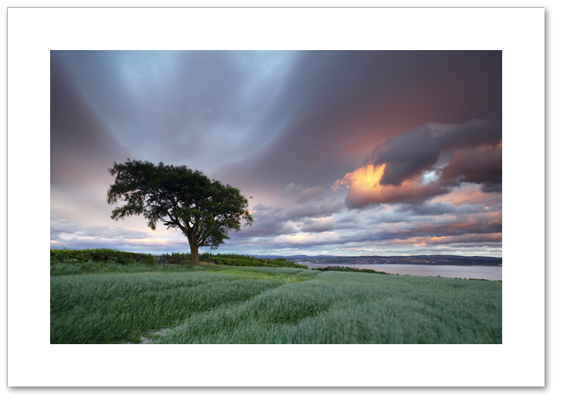 Halo, Culross, Fife