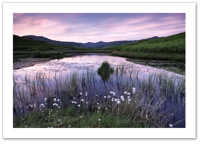 Cotton & Silk ♦ TODD TARN